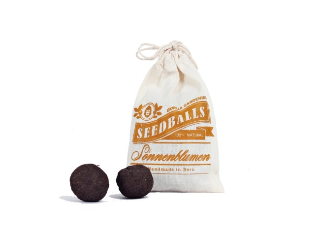 Seedballs - Sonnenblumen