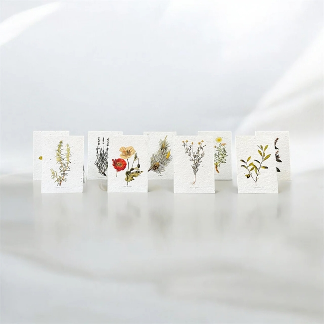 Postkarten aus Samenpapier – Enzyklopädie