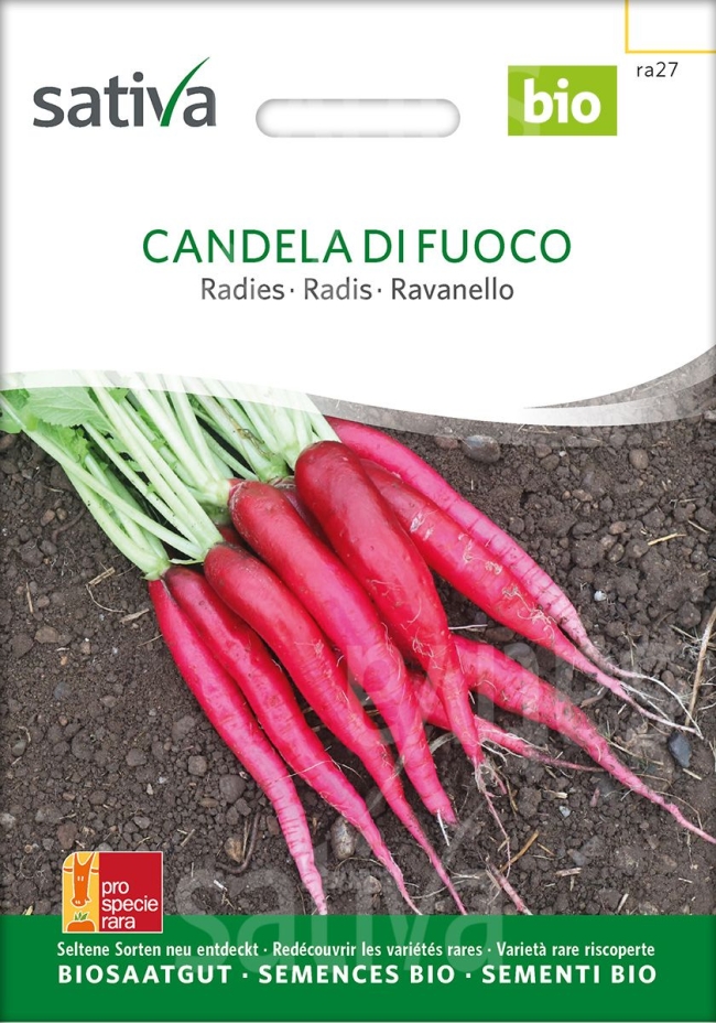  Candela di Fuoco Radies - ProSpeceRara Saatgut