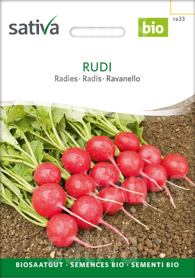  Rudi - Radies Saatgut