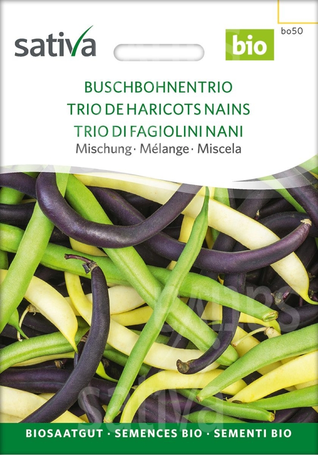  Buschbohnen Trio Mix - Saatgut