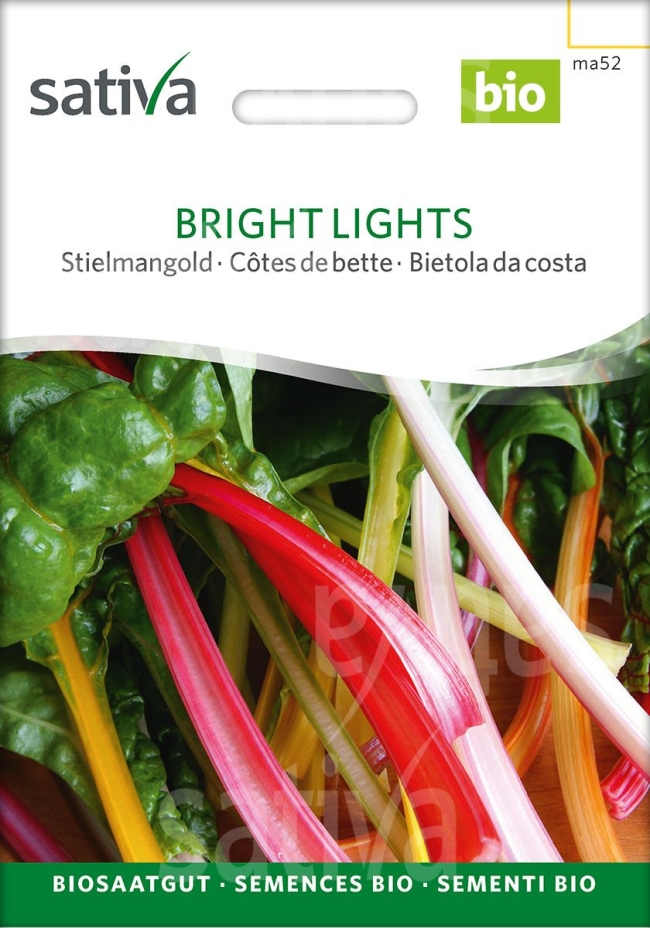  Bright Lights Stielmangold  - Saatgut