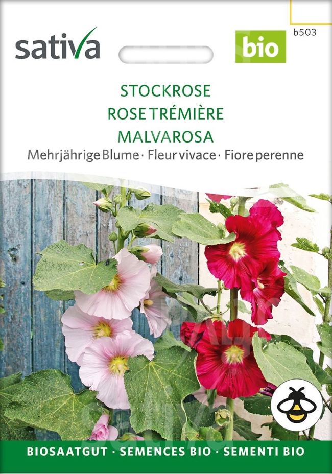Stockrose - Saatgut