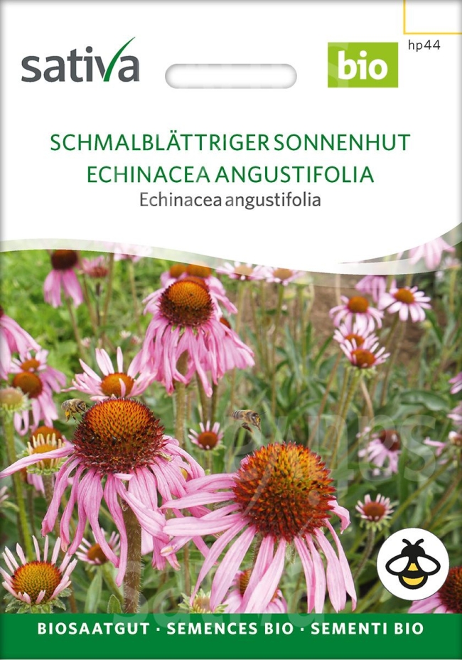 Schmalblättriger Sonnenhut - Saatgut