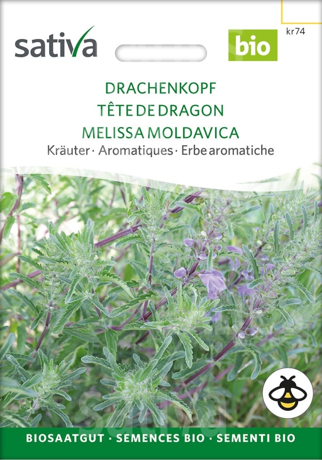 Drachenkopf  - Saatgut