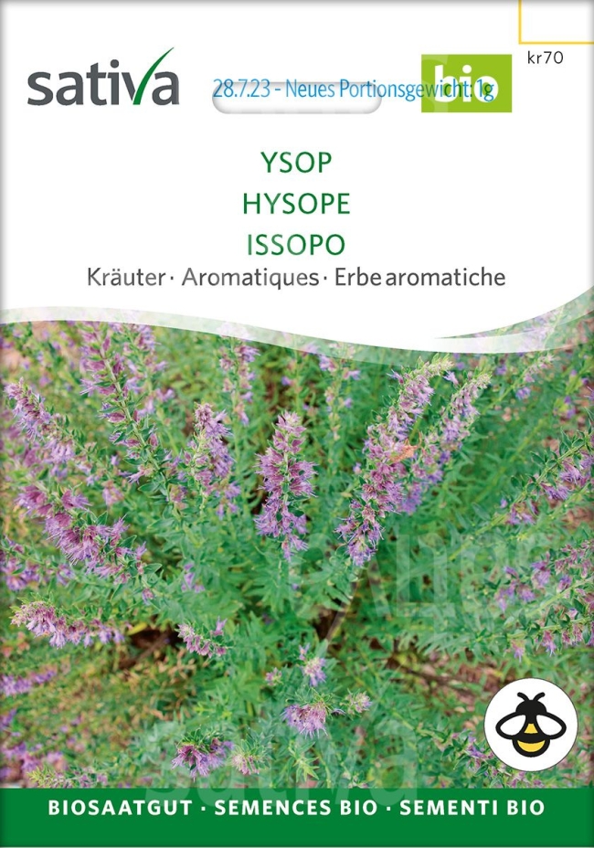 Ysop - Saatgut